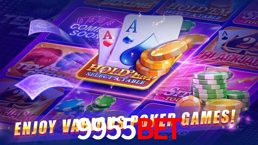 Interface Premium 9955Bet
